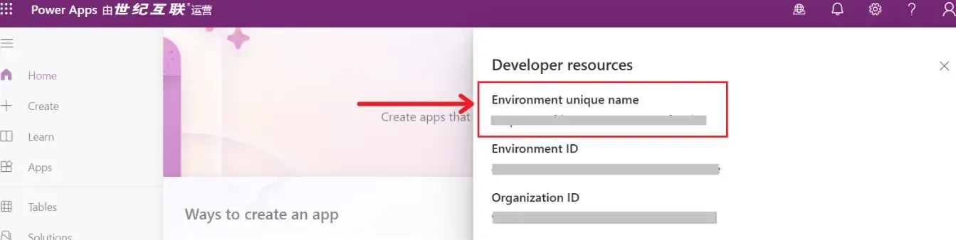 Environment Unique Name
